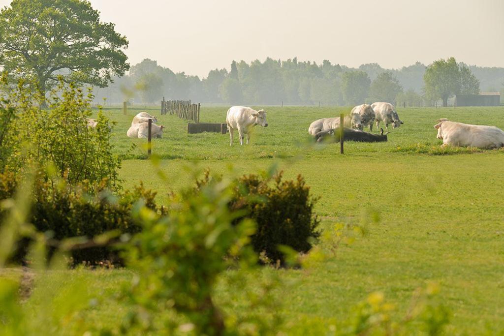 Domein Het Weiland Damme Extérieur photo